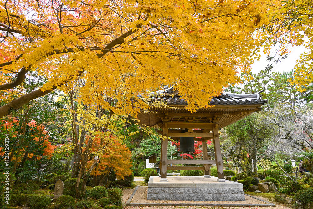 (山口県山口市)秋の小京都山口・鐘楼と紅葉 (山口県山口市)秋の小京都山口・鐘楼と紅葉