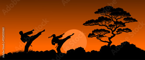 Vektor Silhouette zwei Körper Mann und Frau beim Fußtritt - Kampfsport und Selbstverteidigung in der Natur beim Sonnenaufgang - Kampf und Technik synchron
