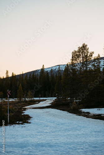 Snowy Trail Through Nordic Forest at Sunset photo