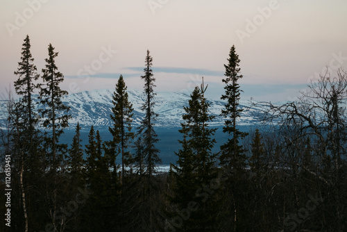 Snowy Mountain and Forest at Dusk photo