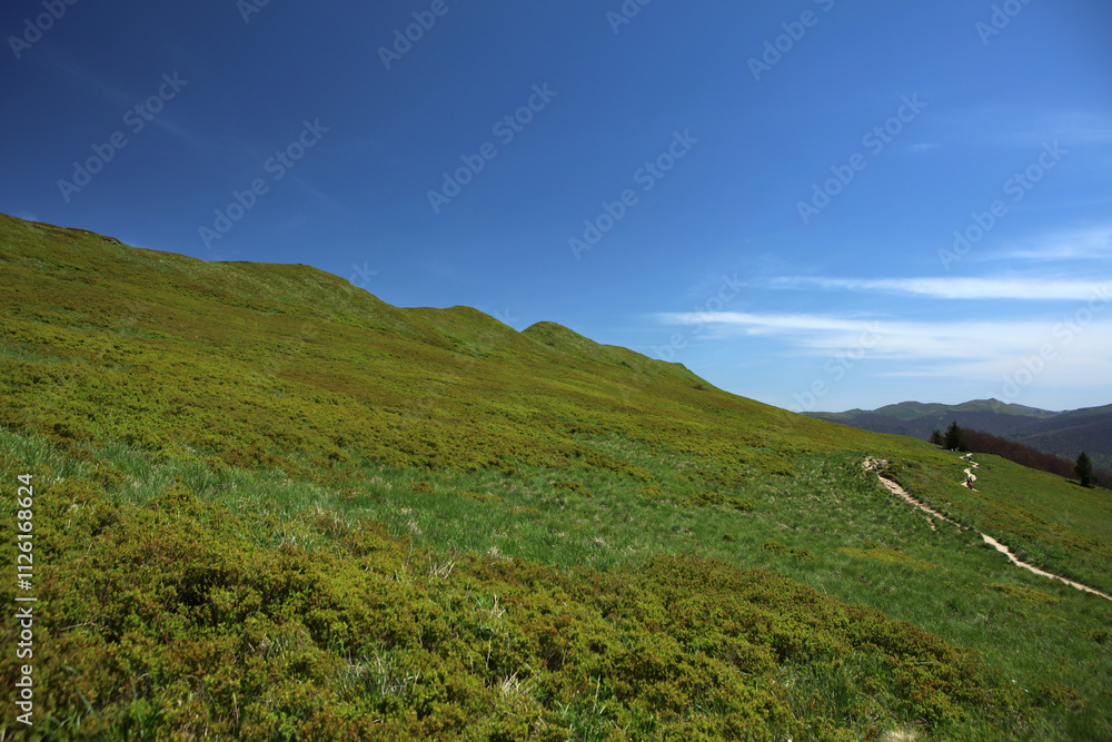 Landscape of Polonina Carynska in Bieszczady mountain range, Poland