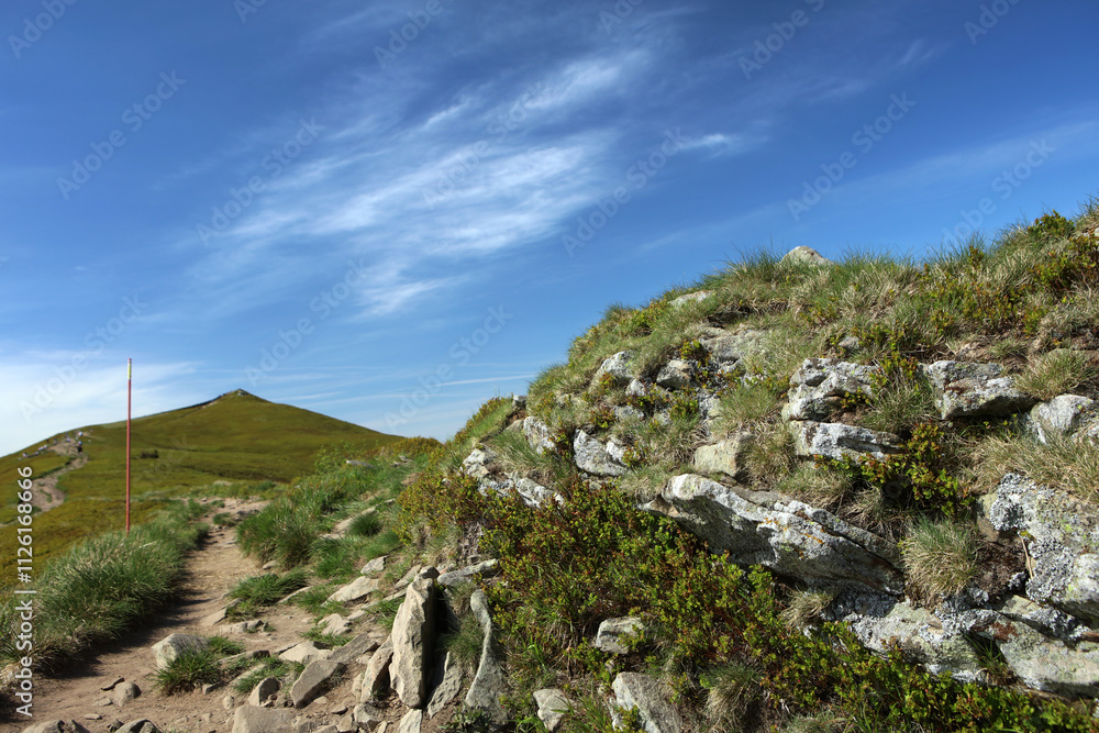 Landscape of Polonina Carynska in Bieszczady mountain range, Poland