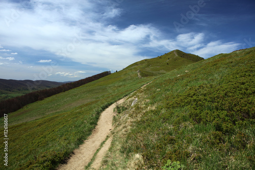 Obraz na płótnie Landscape of Polonina Carynska in Bieszczady mountain range, Poland w salonie