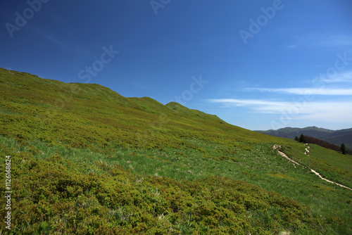 Obraz na płótnie Landscape of Polonina Carynska in Bieszczady mountain range, Poland w salonie