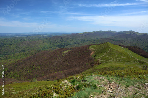 Obraz na płótnie Landscape of Polonina Carynska in Bieszczady mountain range, Poland w salonie