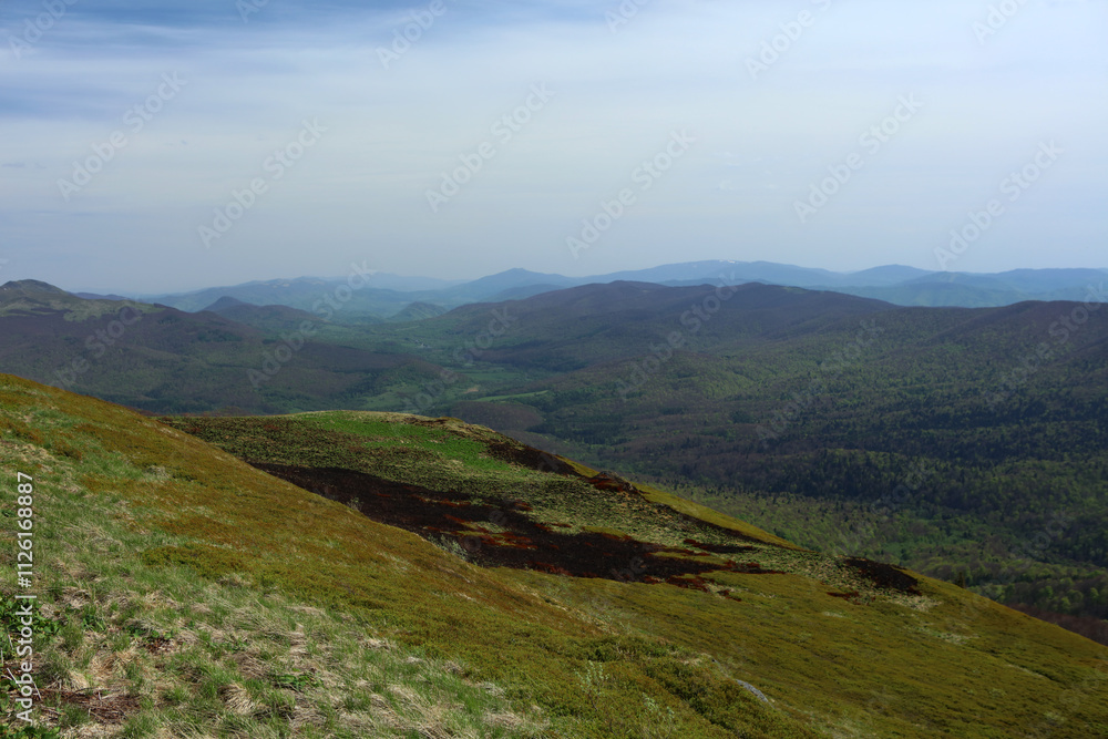 Fragment of a burned meadow of Polonina Carynska in Bieszczady mountain range, Poland