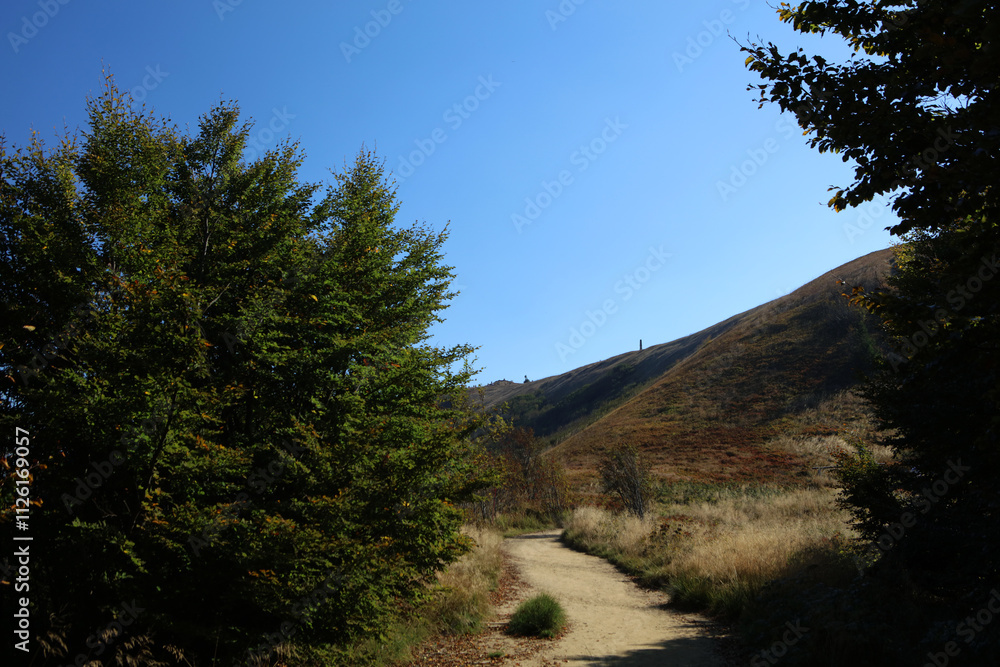 Wielka Rawka peak in Bieszczady mountain range, Poland