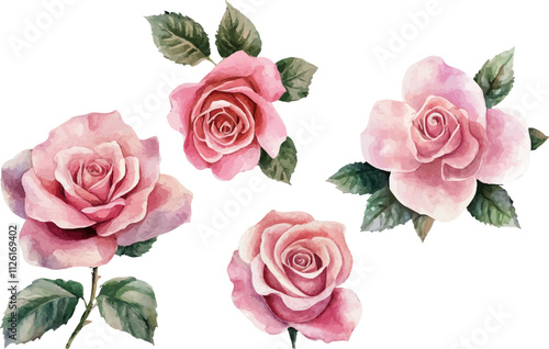 watercolor pink rose clipart for graphic