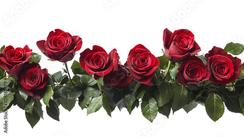 red rose border frame for valentine's day decoration