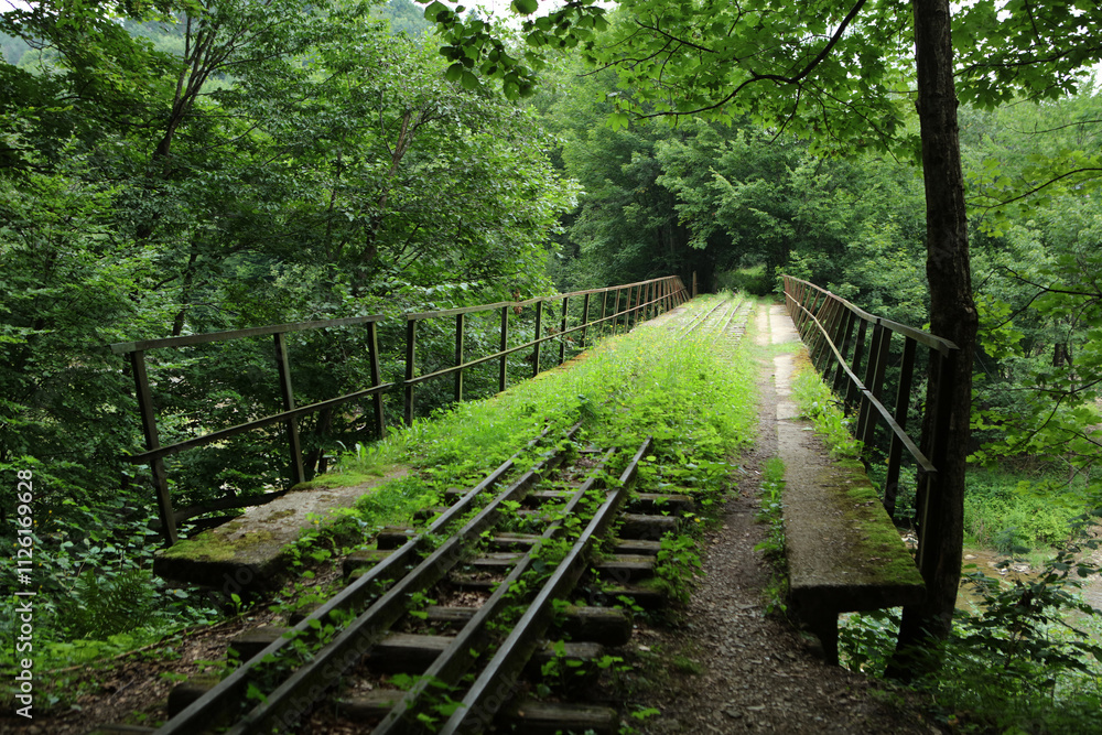 Unused, forgotten narrow-gauge railway tracks and railway bridge in former, abandoned village - Duszatyn in Bieszczady mountain range, Poland