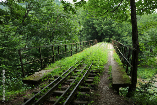 Obraz na płótnie Unused, forgotten narrow-gauge railway tracks and railway bridge in former, abandoned village - Duszatyn in Bieszczady mountain range, Poland w salonie