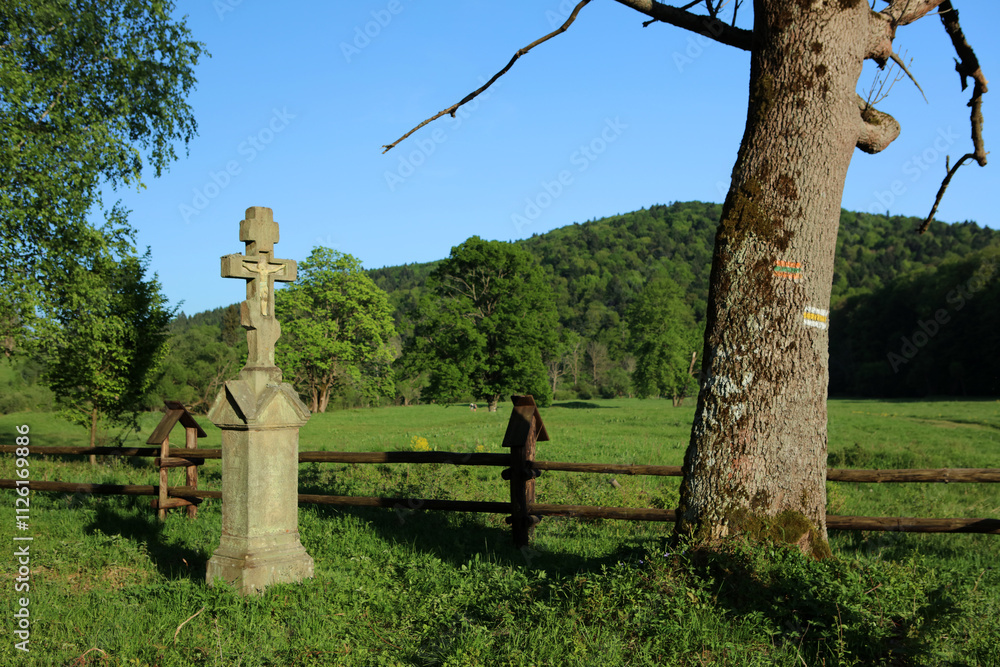 Grave shrines in old cemetery in former, abandoned village - Nieznajowa in Low Beskids mountain range, Poland
