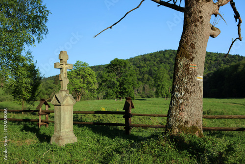 Obraz na płótnie Grave shrines in old cemetery in former, abandoned village - Nieznajowa in Low Beskids mountain range, Poland w salonie