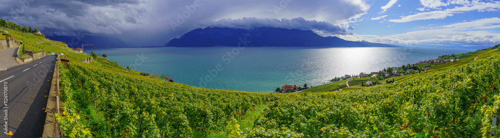 Panorama of vineyard and Lake Geneva
