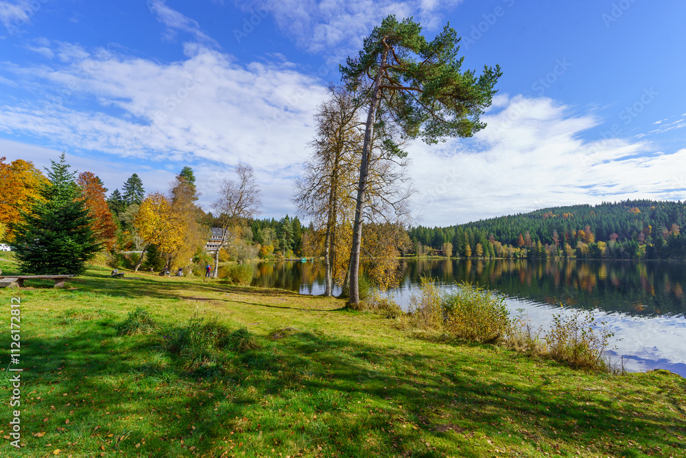 Windgfallweiher lake, in the Black Forest