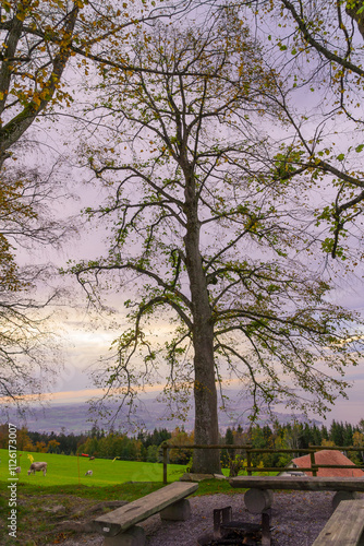 Sunset view of countryside, in northeast Switzerland