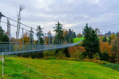 Obraz na płótnie Grub rope bridge, northeast Switzerland w salonie