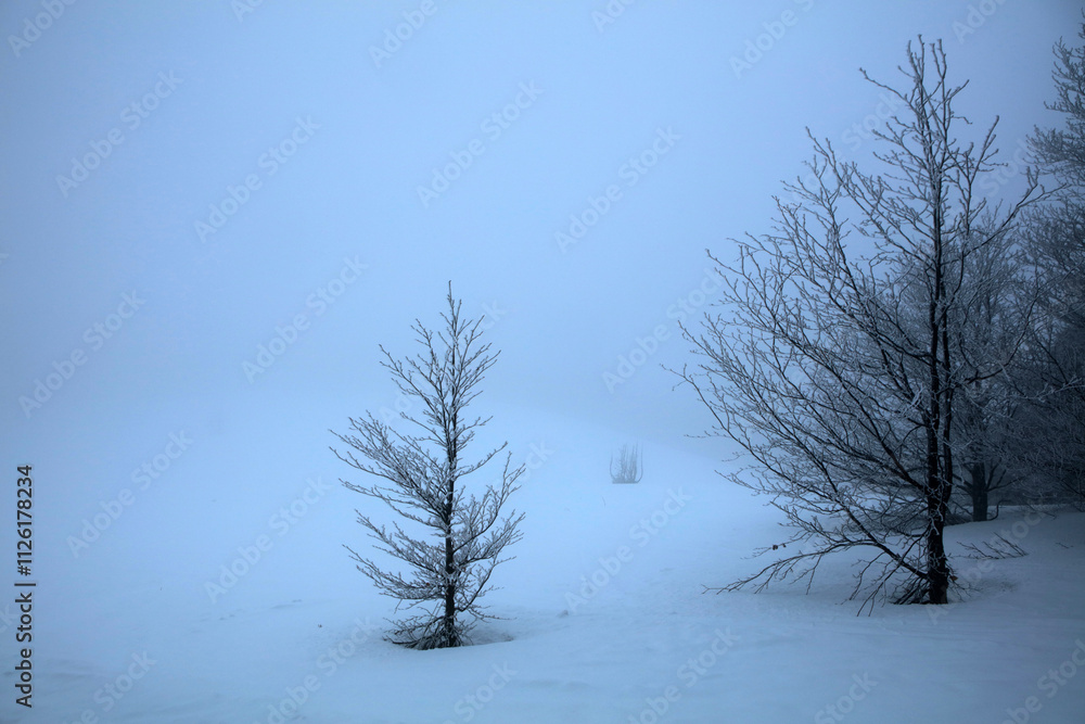 Winter landscape - on the hiking trail to Tarnica mountain - the highest peak of Bieszczady mountain range in Poland