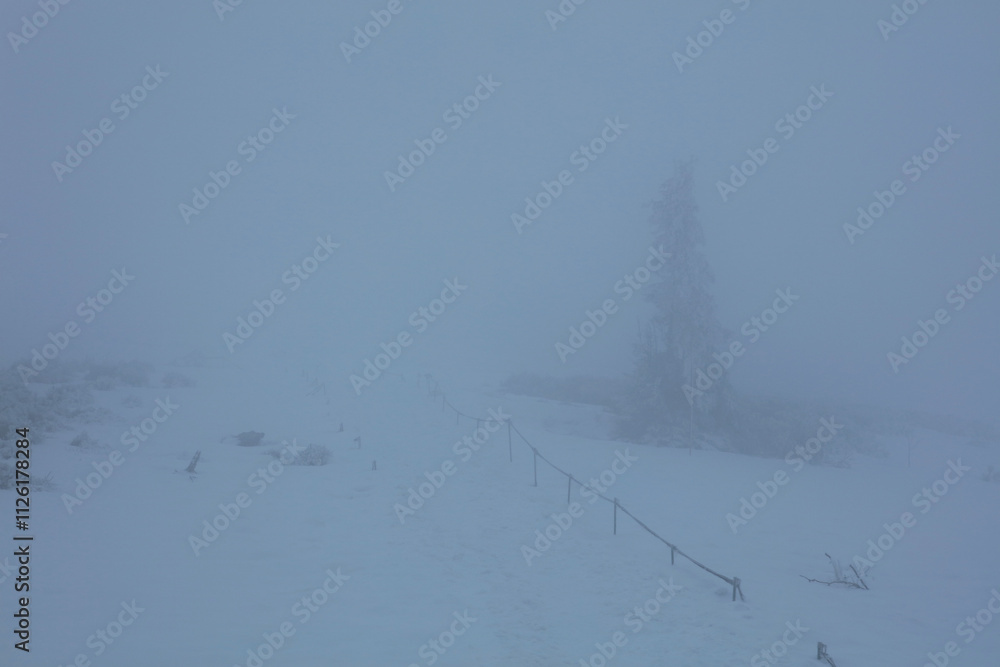 Winter landscape - on the hiking trail to Tarnica mountain - the highest peak of Bieszczady mountain range in Poland