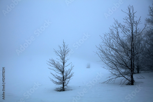 Obraz na płótnie Winter landscape - on the hiking trail to Tarnica mountain - the highest peak of Bieszczady mountain range in Poland
w salonie