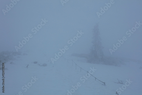 Obraz na płótnie Winter landscape - on the hiking trail to Tarnica mountain - the highest peak of Bieszczady mountain range in Poland
w salonie