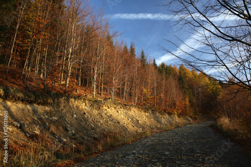 Autumn landscape of Little Beskid Mountains near Magurka Peak, Poland photo