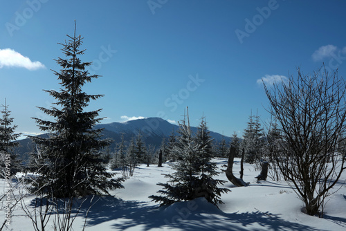 Winter landscape with Babia Gora from the top of Polica mountain in in the Zywiec Beskids mountain range in Poland