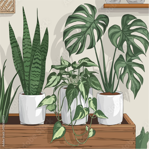 graphic, design, houseplant, element, decoration, drawing, botanical, art, color, growth, home, leaf, nature, cartoon, green, vector, exotic, flat, decor, pot, interior, cute, isolated, botany, cerami