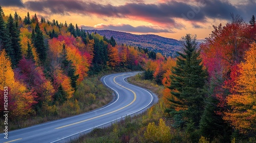 A winding highway cutting through a dense forest, autumn colors in full bloom, golden hour lighting, 