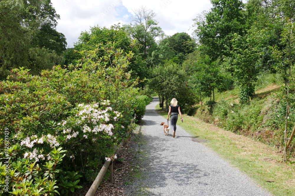 Weg im Schlossgarten und Schlosspark von Bad Berleburg Weg im Schlossgarten und Schlosspark von Bad Berleburg