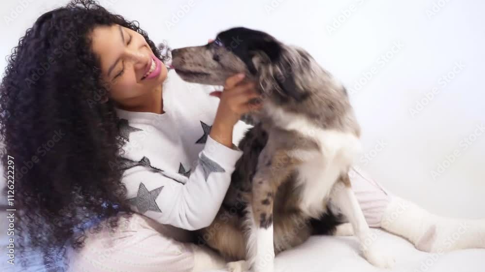 latina woman enjoying her border collie dog on the bed. lifestyle, happiness, dog, animal wellness. latina woman enjoying her border collie dog on the bed. lifestyle, happiness, dog, animal wellness.
