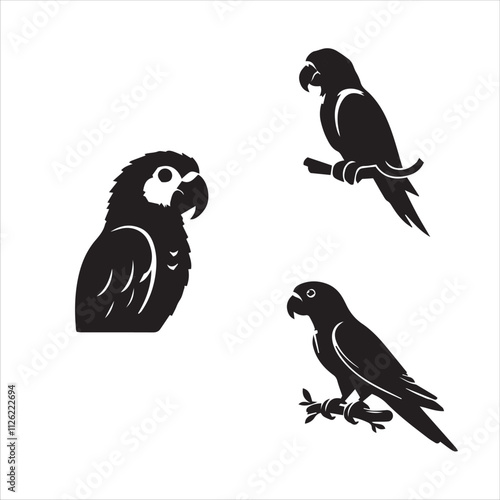 Elegant Parrot Silhouette - Clean Vector Art on White Background