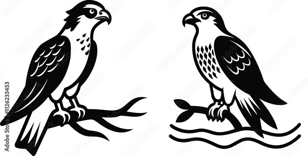 Fototapeta premium two birds on a white background