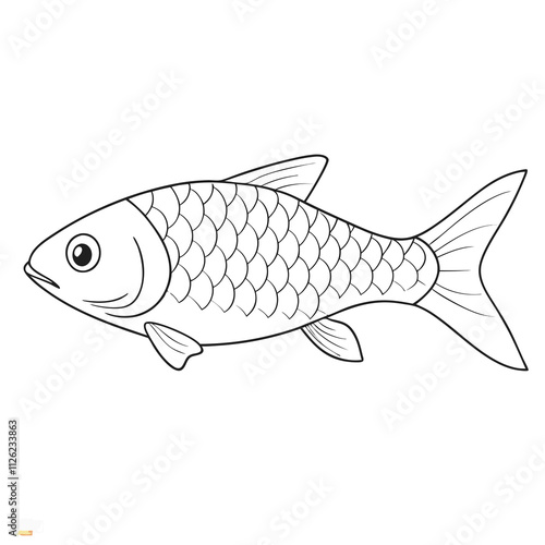 fish isolated on white background