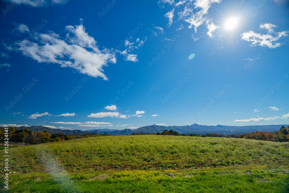 Fototapeta premium 群馬県嬬恋村 秋の平原の光景