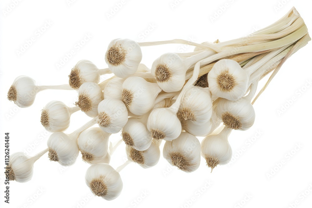 A cluster of fresh garlic bulbs with smooth white skins A cluster of fresh garlic bulbs with smooth white skins