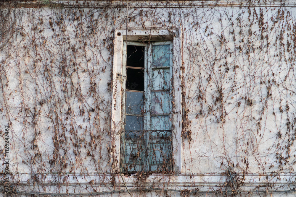 Door window hamlet village country people characteristic