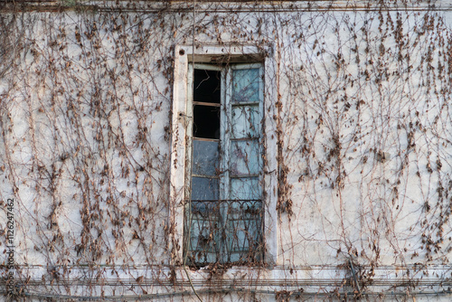 Obraz na płótnie Door window hamlet village country people characteristic w salonie