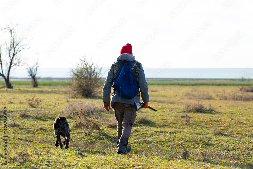 Mature hunter man holding a shotgun and walking through a field Mature hunter man holding a shotgun and walking through a field