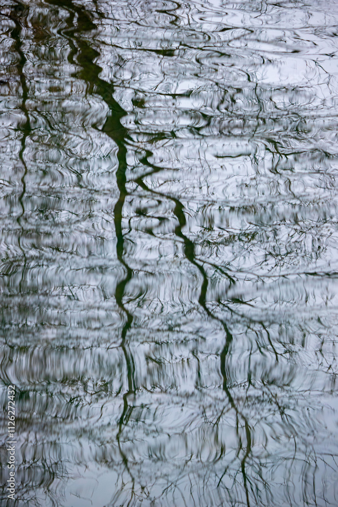 The image is a reflection of a tree in a body of water The image is a reflection of a tree in a body of water