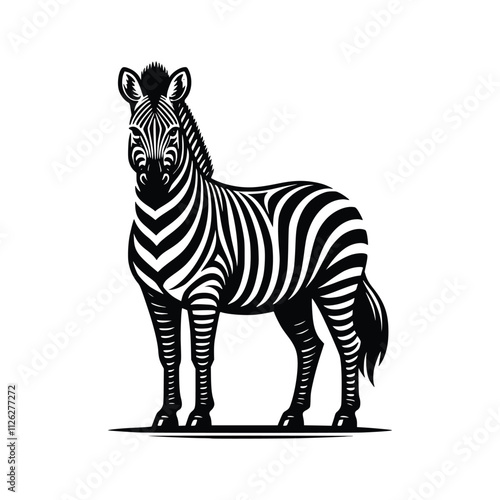 zebra vector illustration photo