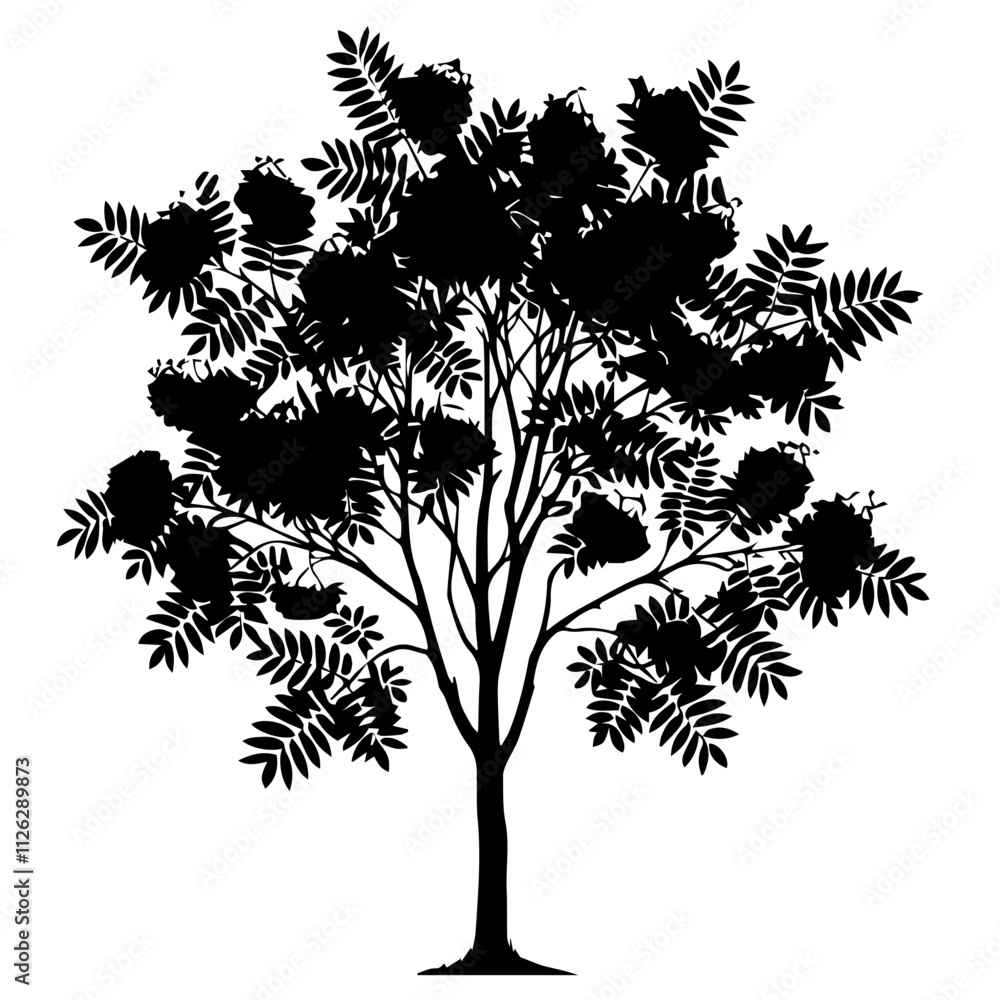 Obraz premium Rowan Tree Cutout Vector Silhouette Isolated Forest Graphic