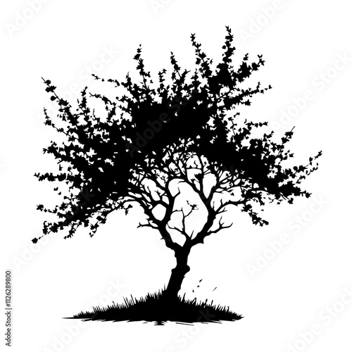 Wild Cherry Tree Cutout Vector Silhouette Isolated Forest Graphic