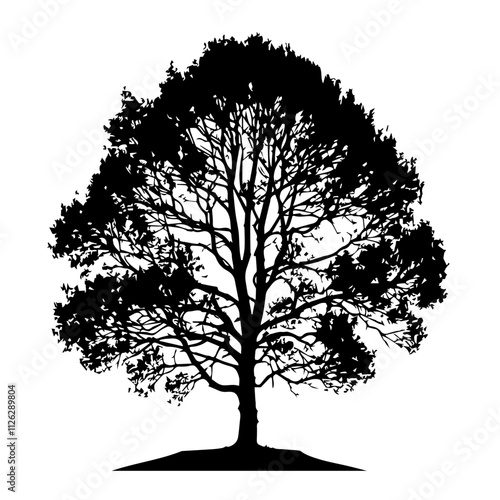 Aspen Tree Cutout Vector Silhouette Isolated Forest Graphic