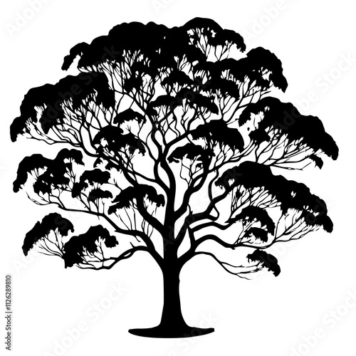 Eucalyptus Gum Tree Cutout Vector Silhouette Isolated Forest Graphic