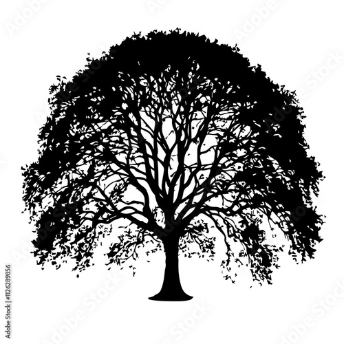 Plane Tree Cutout Vector Silhouette Isolated Forest Graphic