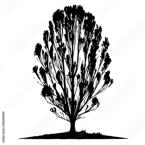 Poplar Tree Cutout Vector Silhouette Isolated Forest Graphic