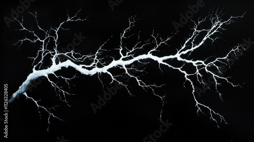 White branch on black background.