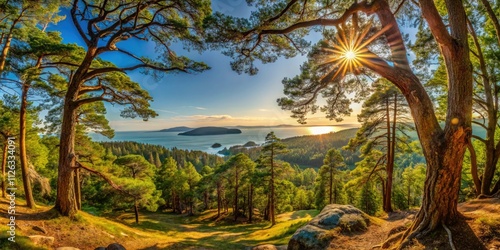 Panoramic Drumbeg Provincial Park: Garry Oak & Douglas Fir Forest, Gabriola Island, BC, Canada photo