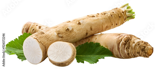 Fresh horseradish horseradish root isolated